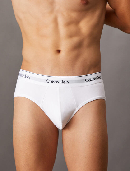 2 Pack Icon Cotton Stretch Hipster Briefs