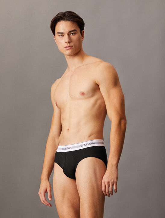 Icon Cotton Air Hipster Brief