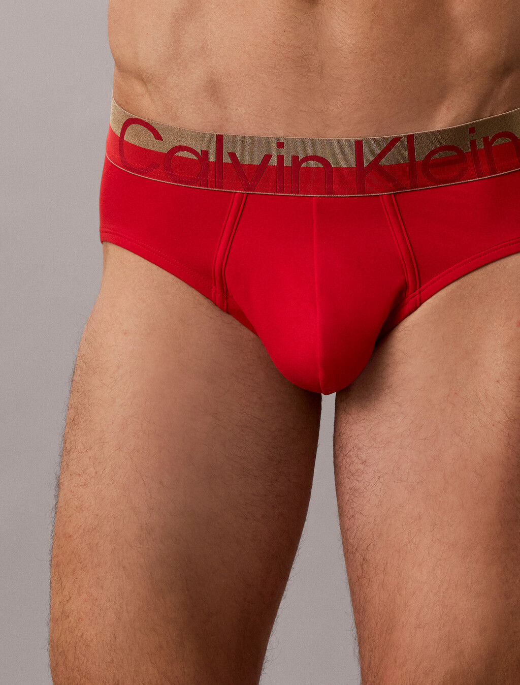 Brushed Microfiber Stretch Metallic Hip Brief, GOJI BERRY W/ BRONZE WB, hi-res