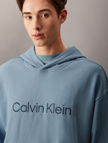 Hero Logo Terry Hoodie, Faded Denim, hi-res