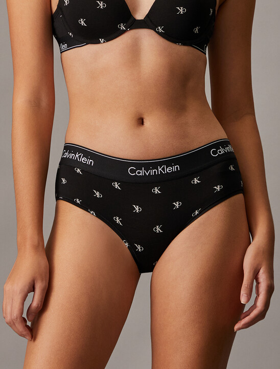 Icon Cotton Hipster Briefs