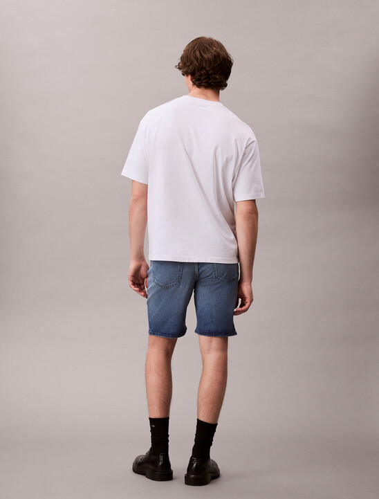 Standard Denim Short