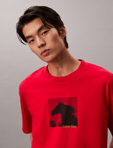 Lunar New Year Heavyweight Jersey Tee, Pantone Red, hi-res