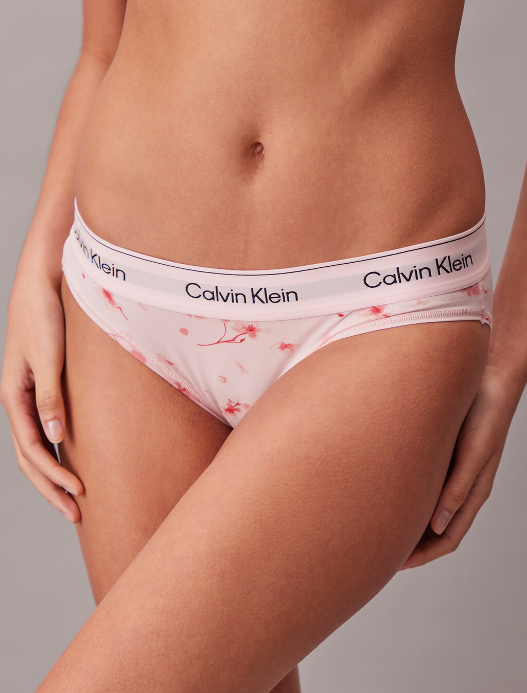 Bikini Briefs - Icon Cotton Modal, Festival Small Horizon Pink, hi-res