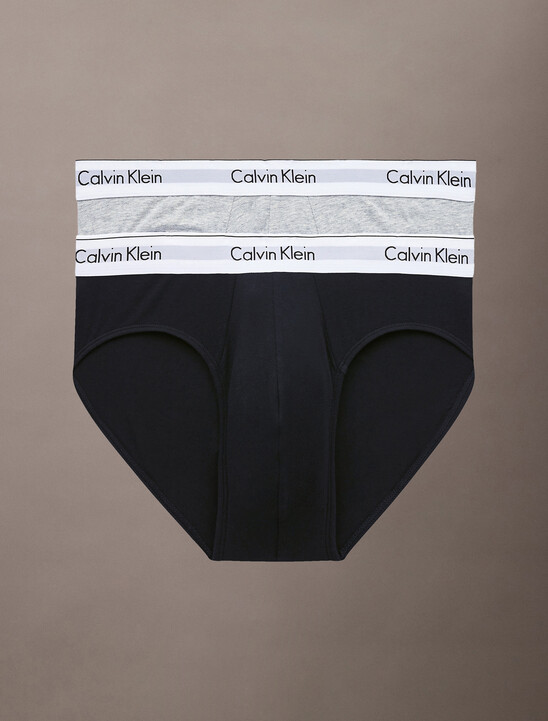 Icon Cotton Stretch Hip Brief - 2 Pack