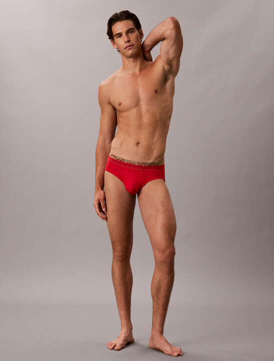 Brushed Microfiber Stretch Metallic Hip Brief