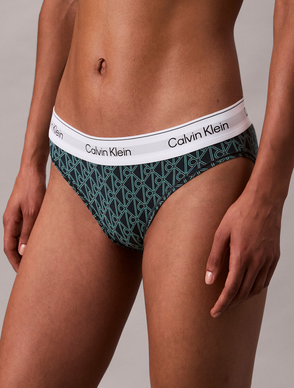 Bikini Briefs - Icon Cotton Modal, BIJOU MODERN EMBLEM OUTLINE+STRATIFIED SEA, hi-res