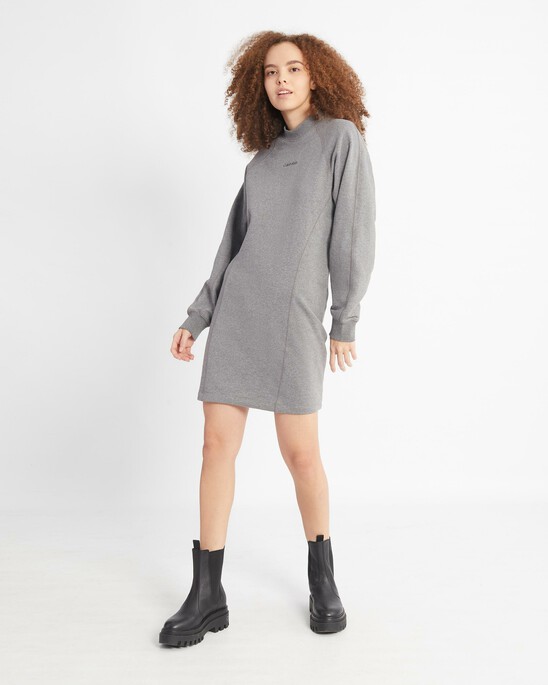 Standards Sweatshirt Dress