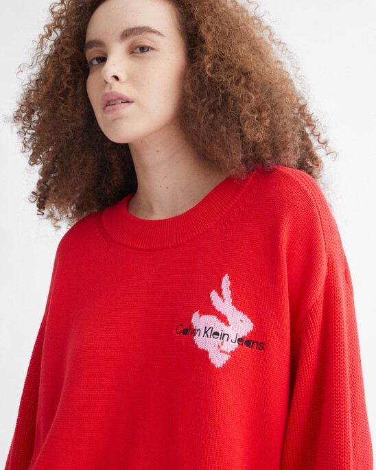 YEAR OF THE RABBIT ORGANIC COTTON PULLOVER JUMPER