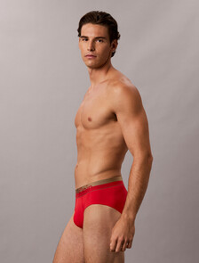 Brushed Microfiber Stretch Metallic Hip Brief, GOJI BERRY W/ BRONZE WB, hi-res