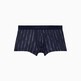 Calvin Linear Stripe Logo_Blue Shadow
