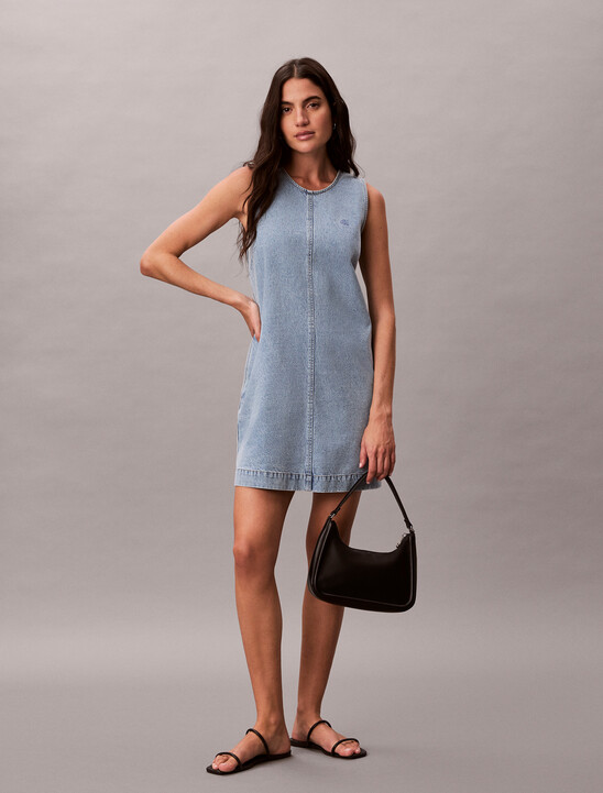 Denim Shift Dress