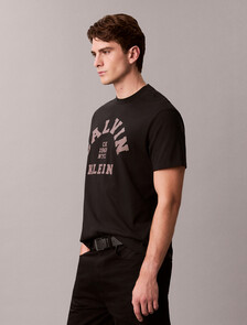 Varsity Logo Graphic Relaxed T-Shirt, Black, hi-res