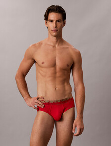 Brushed Microfiber Stretch Metallic Hip Brief, GOJI BERRY W/ BRONZE WB, hi-res