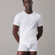 White/White