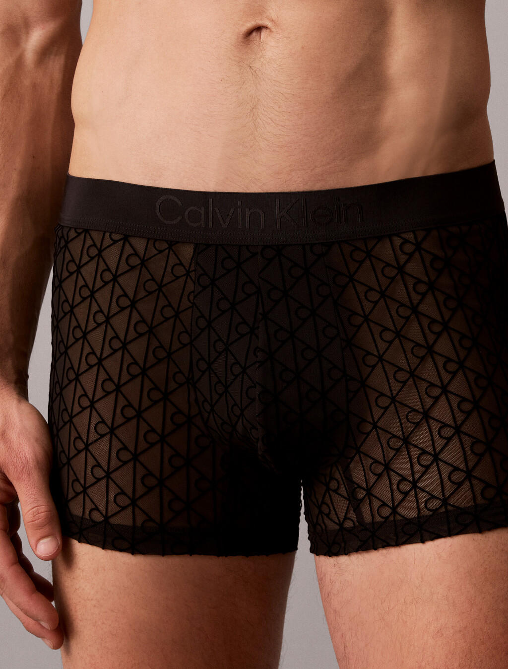 Sheer Mesh Trunks - CK Black, Black, hi-res