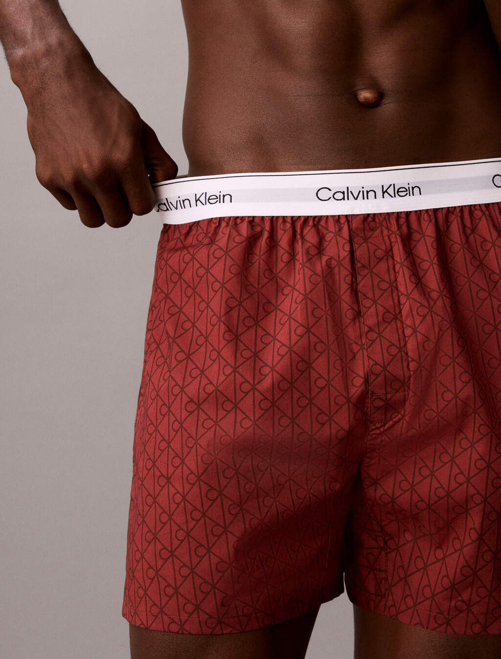 Cotton Poplin Traditional Boxers, 21690 Dual Emblem+Spiced Apple, hi-res