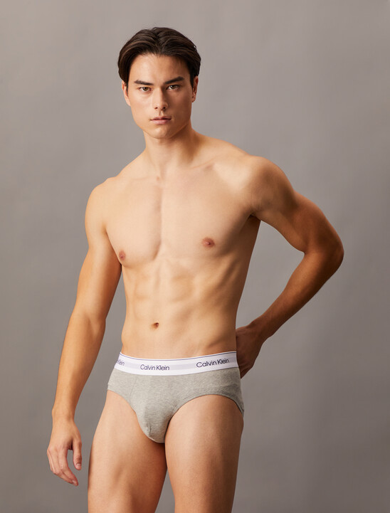 2 Pack Icon Cotton Stretch Hipster Briefs