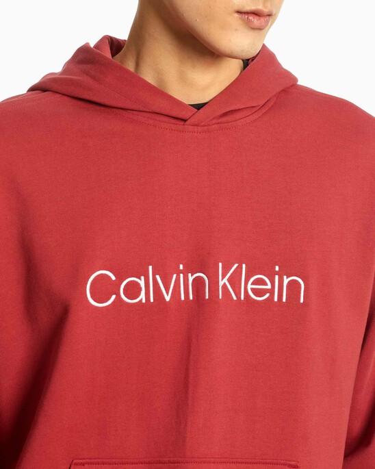 HERO LOGO TERRY HOODIE
