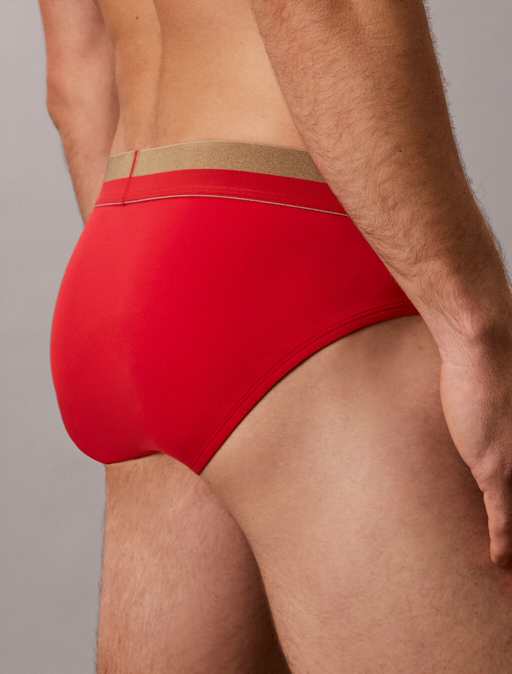 Brushed Microfiber Stretch Metallic Hip Brief, GOJI BERRY W/ BRONZE WB, hi-res