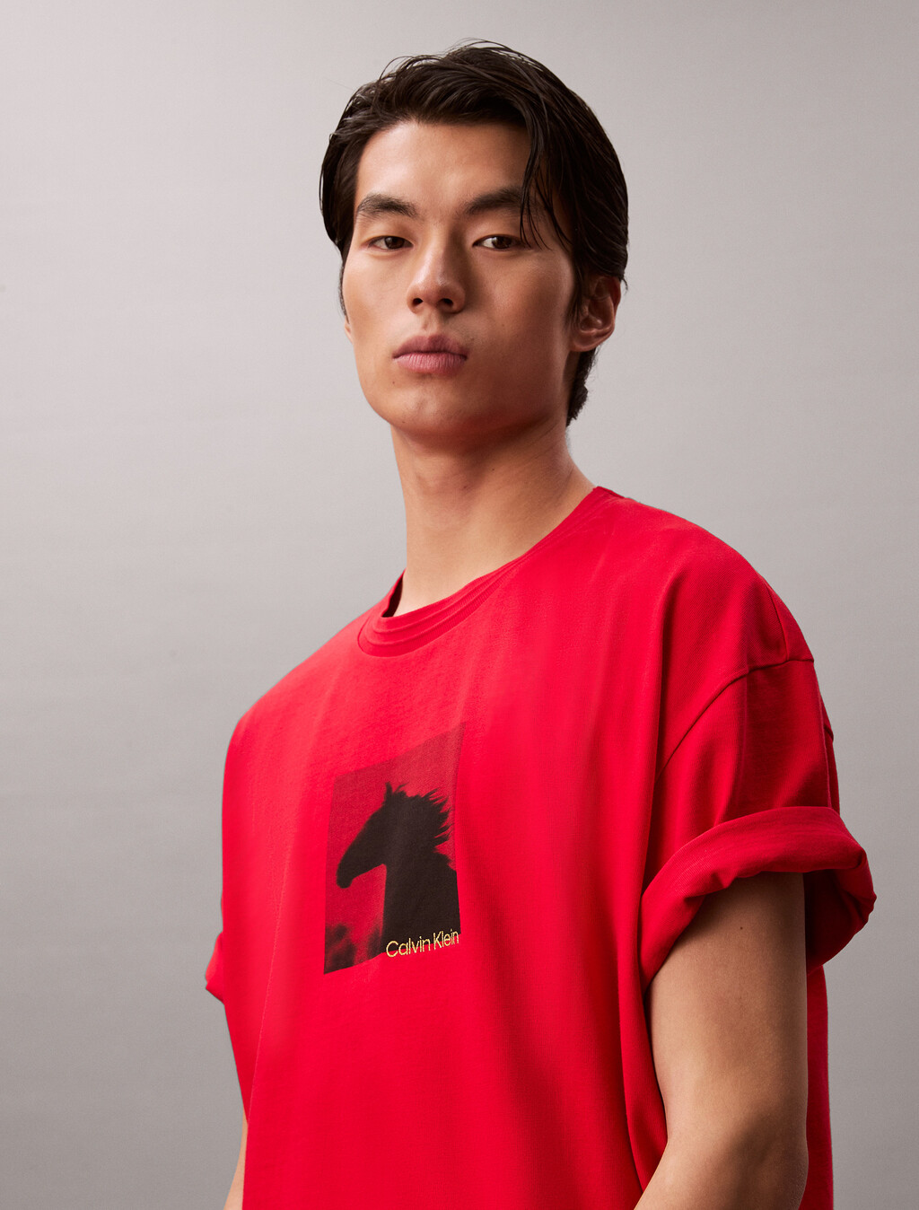 Lunar New Year Heavyweight Jersey Tee, Pantone Red, hi-res