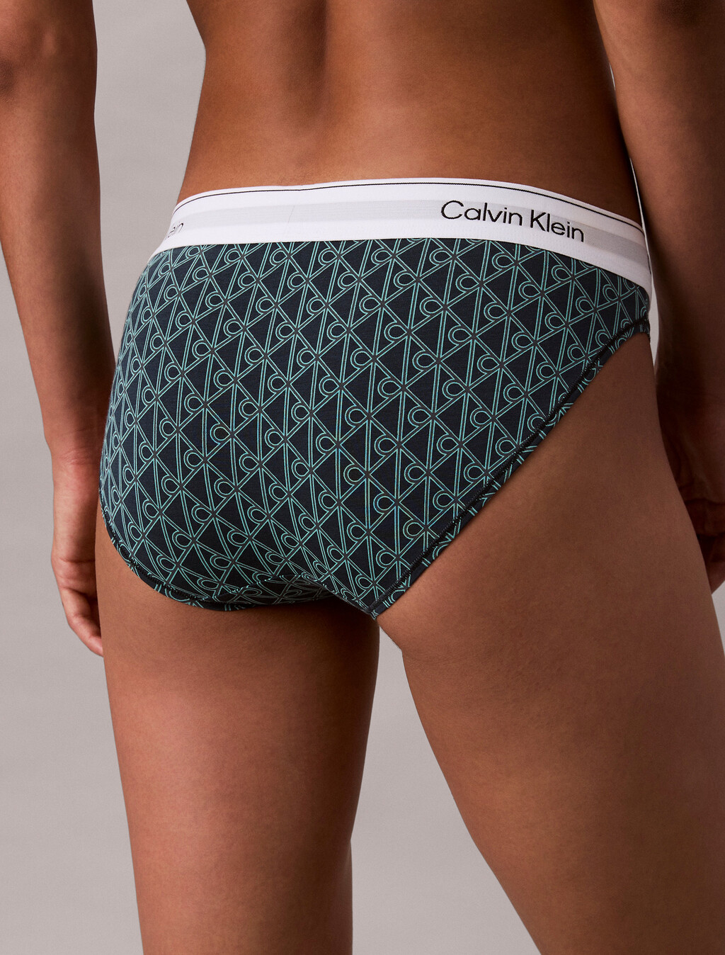 Bikini Briefs - Icon Cotton Modal, BIJOU MODERN EMBLEM OUTLINE+STRATIFIED SEA, hi-res