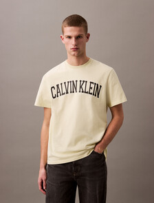 Varsity Logo Crewneck Tee, Aloe Wash, hi-res