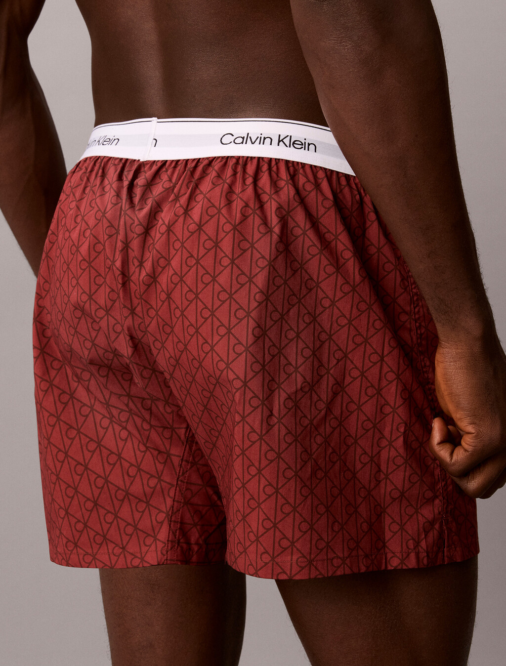 Cotton Poplin Traditional Boxers, 21690 Dual Emblem+Spiced Apple, hi-res