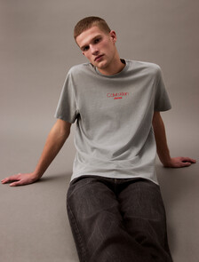 Acid Wash Logo T-shirt, Trooper, hi-res