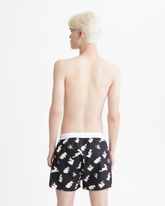 YEAR OF THE RABBIT BOXERS
