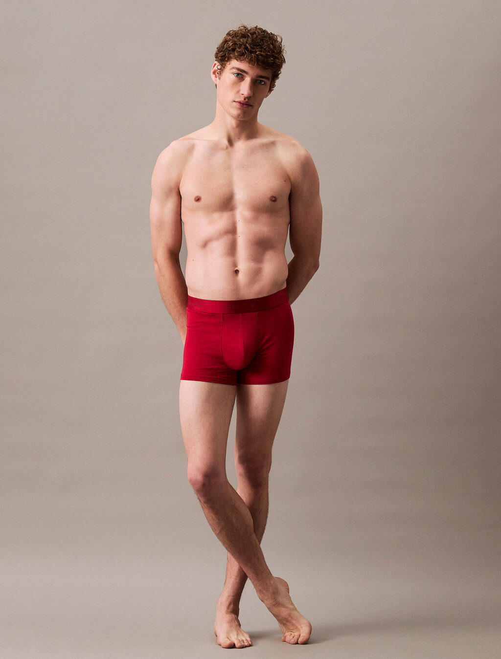 Icon Cotton Holiday Trunk, Juneberry, hi-res