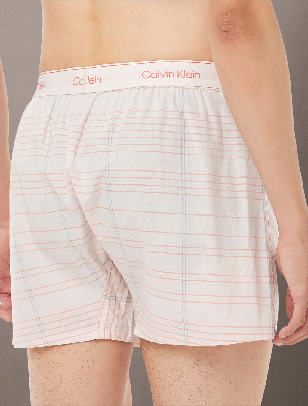 Cotton Poplin Traditional Boxers, 19472 JOTTER PLAID+CHALK, hi-res