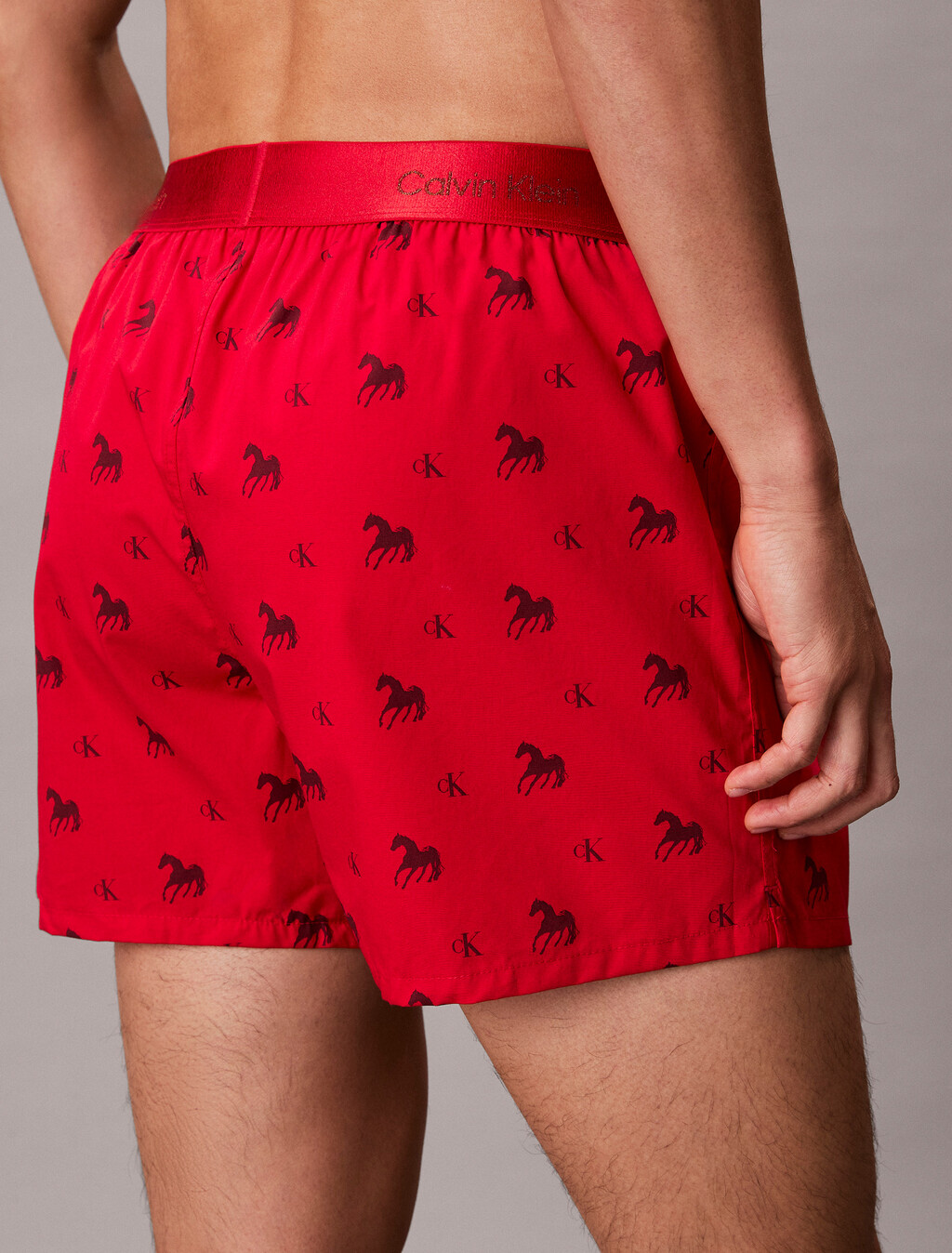 Lunar New Year Slim Boxer, Untamed Horses_Rouge, hi-res